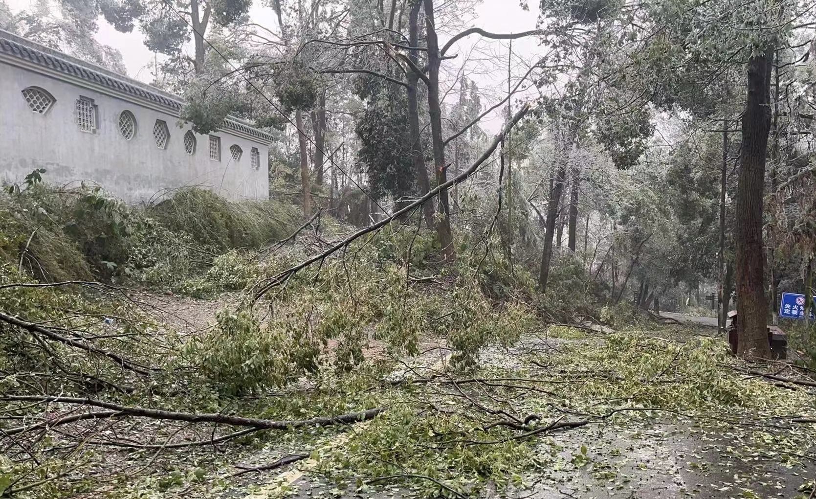 蒸湘区雨母山镇：&ldquo;以冻为令、以动制冻&rdquo;开展群众游客安全出行行动