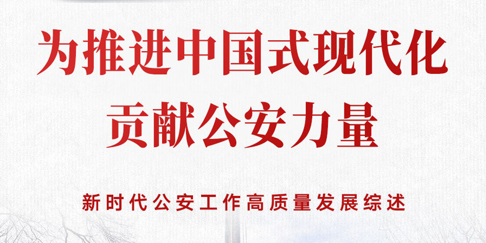 新时代公安：为推进中国式现代化贡献公安力量