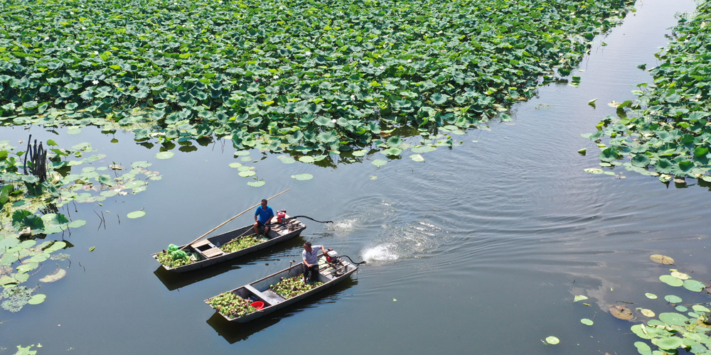 当地法院持续不断加强&ldquo;洪泽湖&rdquo;生态环境司法保护