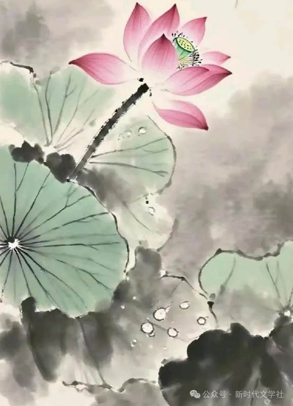 当快门晕染开墨香：镜头里的水墨荷韵
